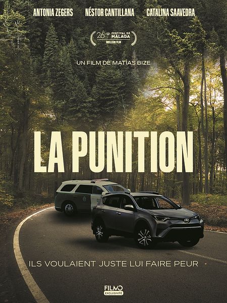 Affiche du film La Punition