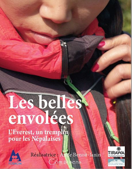 Affiche du film Les Belles envolées
