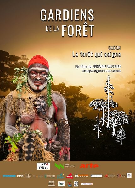 Affiche du film L'homme qui cache la forêt