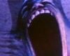 Pink Floyd The Wall Bande-annonce