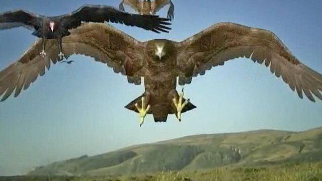 Au sommaire - Le film de la semaine : "Birdemic" ; Rubrique Gros pigeon : "Birdemic 2" ; l'extrait en trop : "Skin Gang"