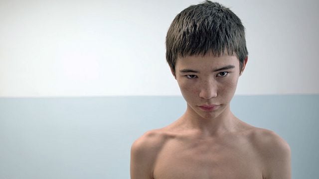 Leçons d'harmonie Bande-annonce