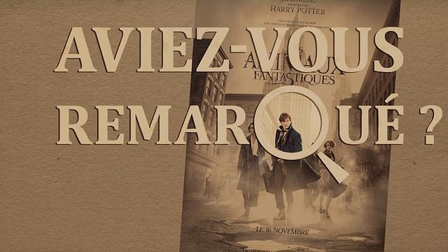 Les petits détails des plus grands films : "Aviez-vous remarqué ?" remonte le temps de l'univers magique de J.K. Rowling...