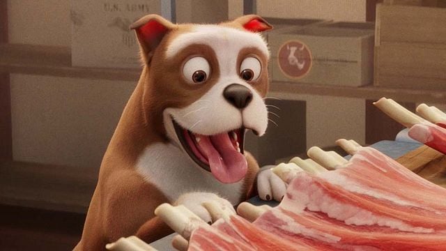 Stubby Bande-annonce