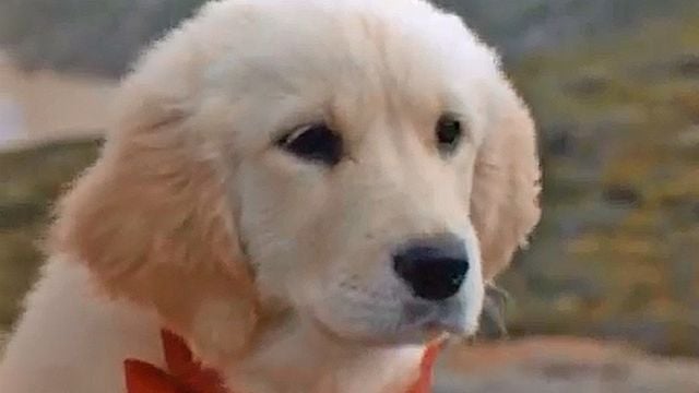 Napoléon en Australie Trailer