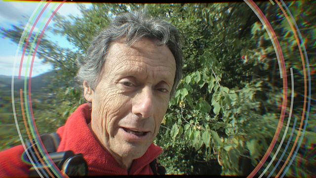 Chaque semaine, retrouvez toutes les sorties cinéma de la semaine sur CINE+, en partenariat avec AlloCiné.