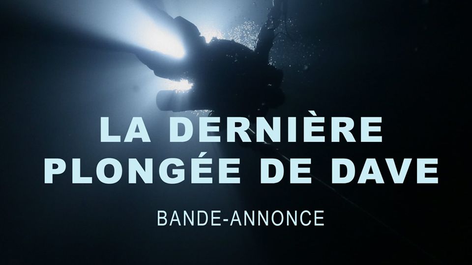 La Derniere Plongee De Dave Film Allocine