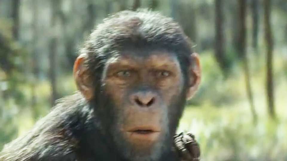 Trailer du film La Planète des Singes Le Nouveau Royaume La Planète des Singes Le Nouveau